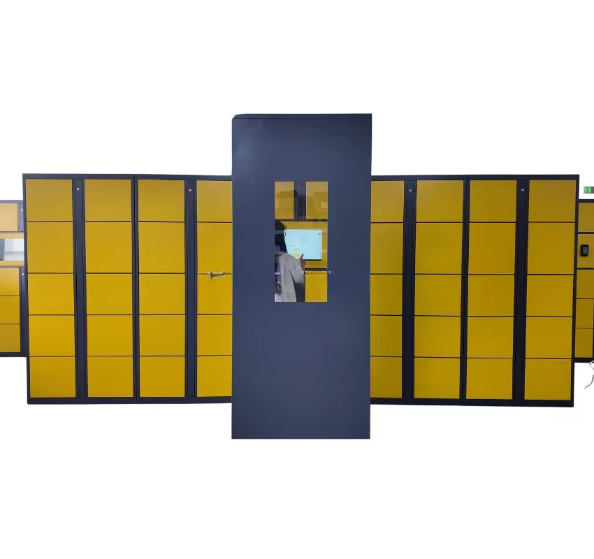 Solución Inteligente para Alma - Locker Storage Metal reseña y precio