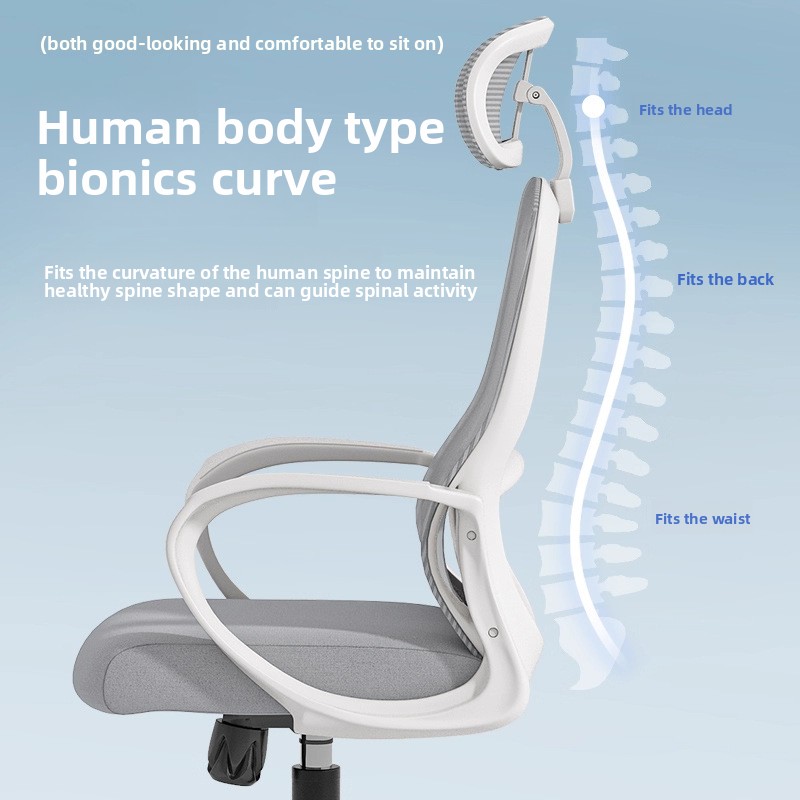 Silla de ordenador Silla de of - Office Furniture Commercial reseña y precio